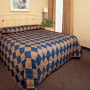 Elvis Presley's Heartbreak Hotel